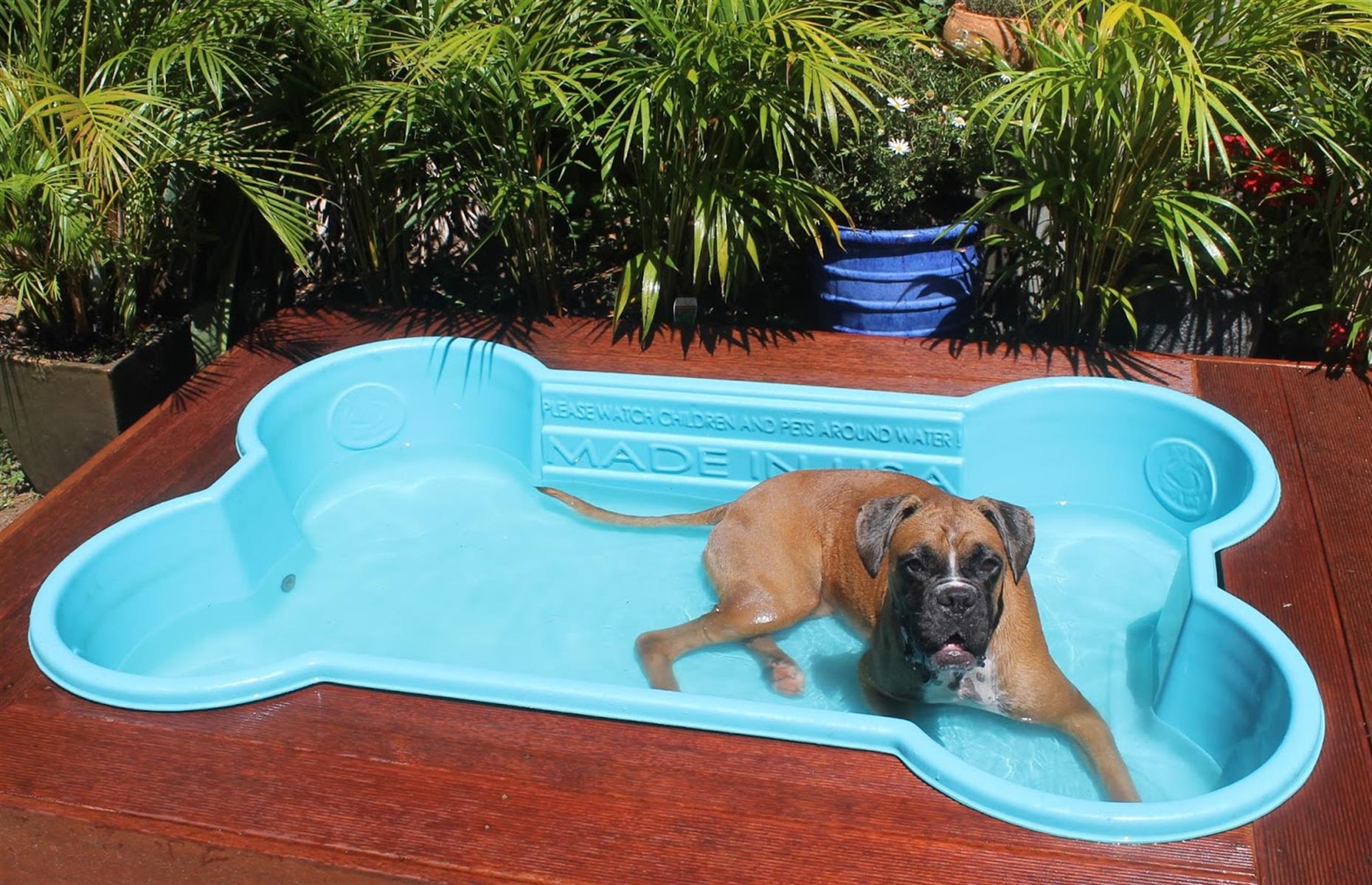 Doggy paddle pool